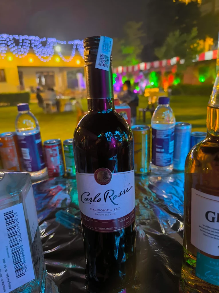 Royal Nest Villa, Lucknow